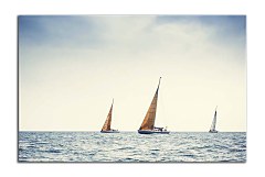 Obraz na stenu ZS - bez pomeru strán